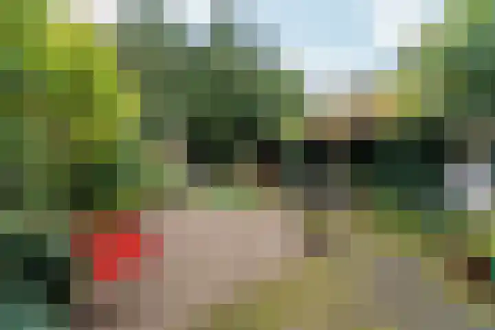 Schelmseweg 46 Oosterbeek thumbnail 42