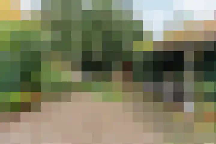 Schelmseweg 46 Oosterbeek thumbnail 43