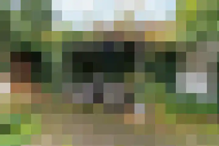 Schelmseweg 46 Oosterbeek thumbnail 44