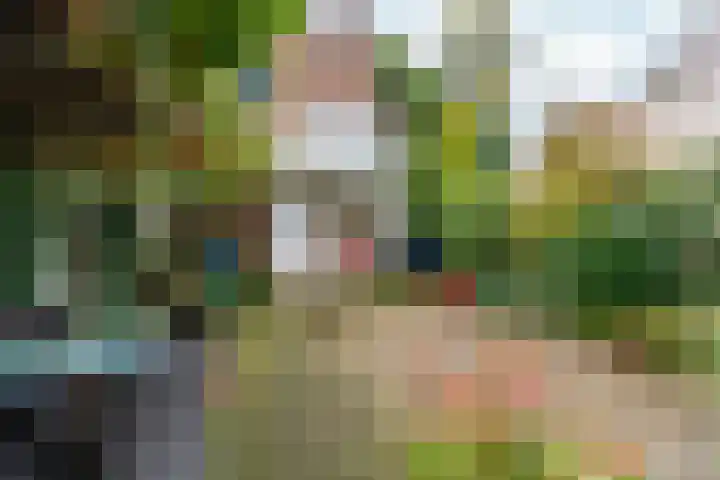 Schelmseweg 46 Oosterbeek thumbnail 46