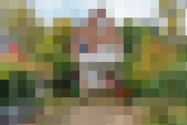 Schelmseweg 46 Oosterbeek thumbnail 47