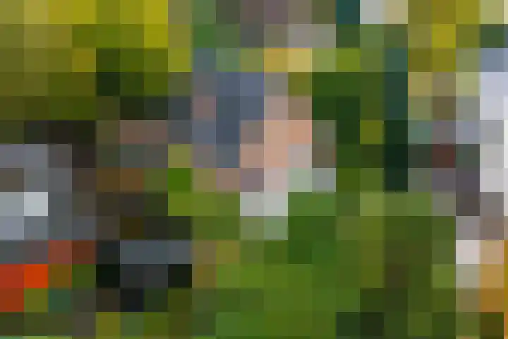 Schelmseweg 46 Oosterbeek thumbnail 52