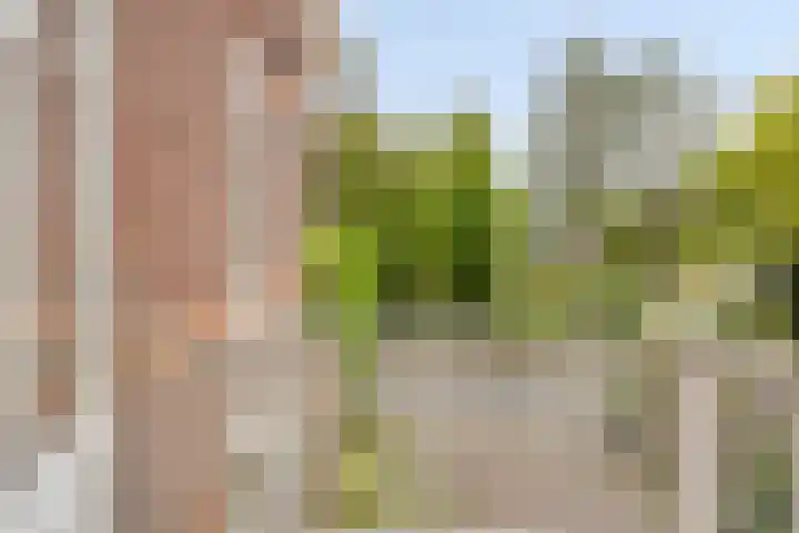 Schelmseweg 6 Oosterbeek thumbnail 33