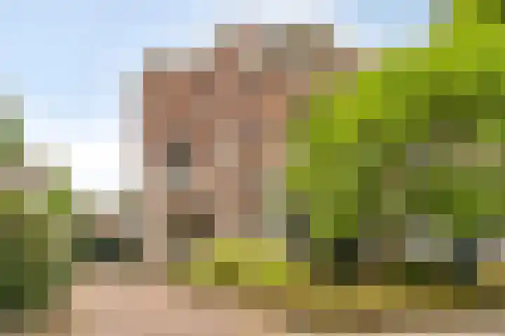 Schelmseweg 6 Oosterbeek thumbnail 55