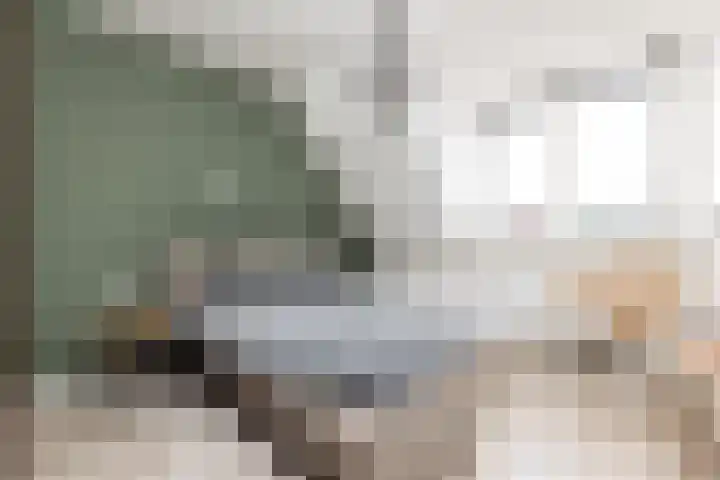 Schelmspad 1 Wijhe thumbnail 15