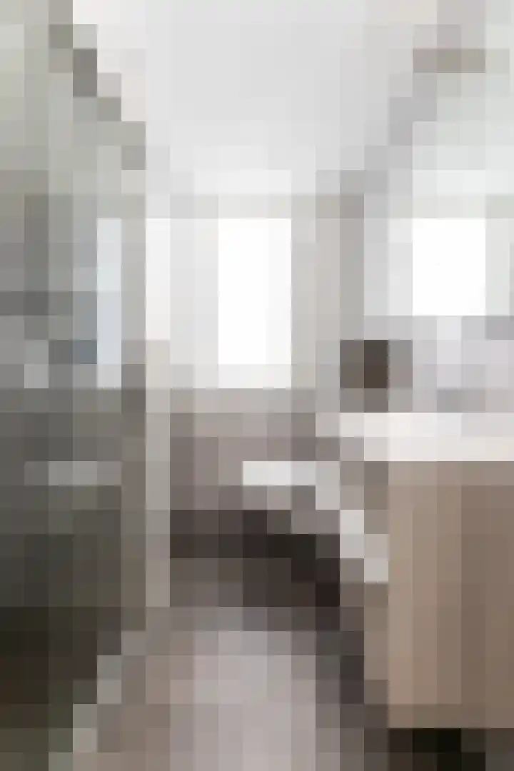 Schelmspad 1 Wijhe thumbnail 16
