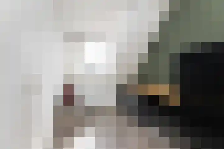 Schelmspad 1 Wijhe thumbnail 17