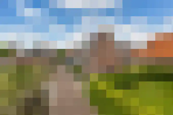 Schelmspad 1 Wijhe thumbnail 22