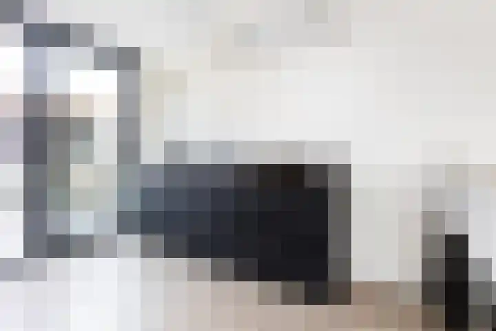 Schelmspad 1 Wijhe thumbnail 7