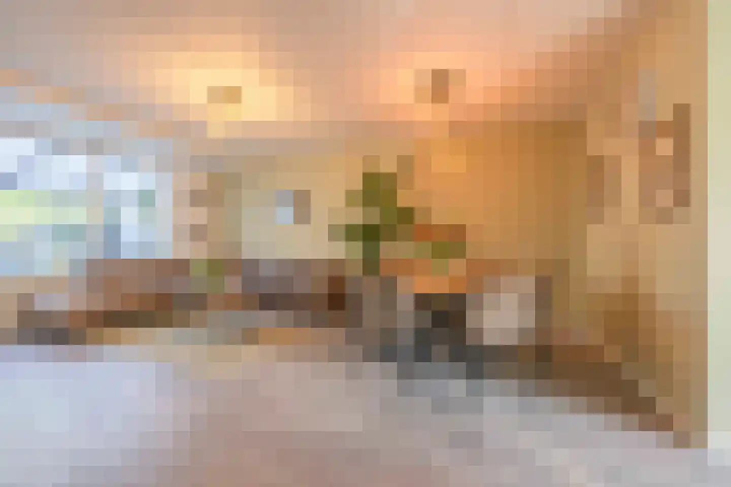 Schelp 14 Katwijk thumbnail 17