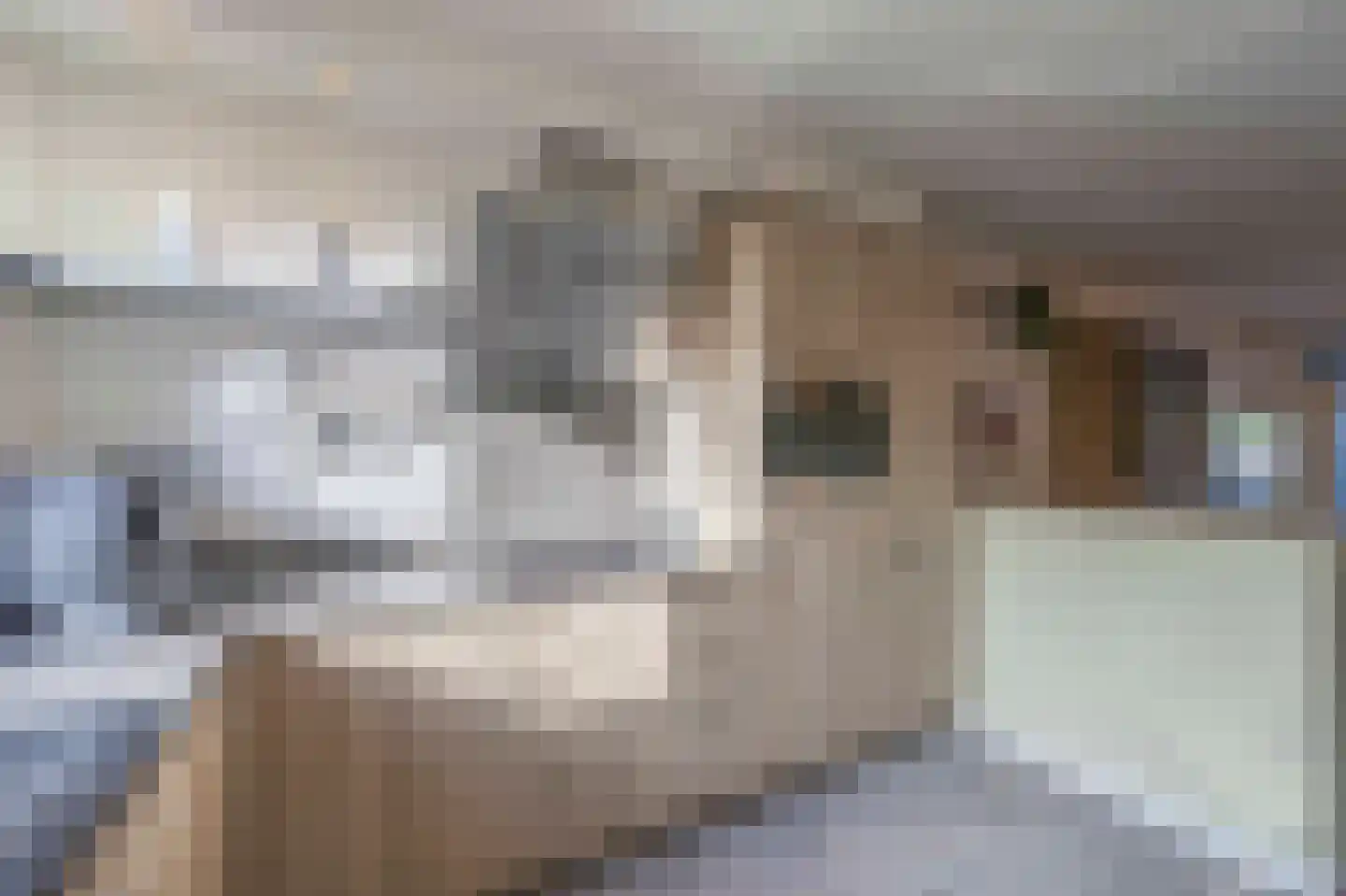 Schelp 14 Katwijk thumbnail 22