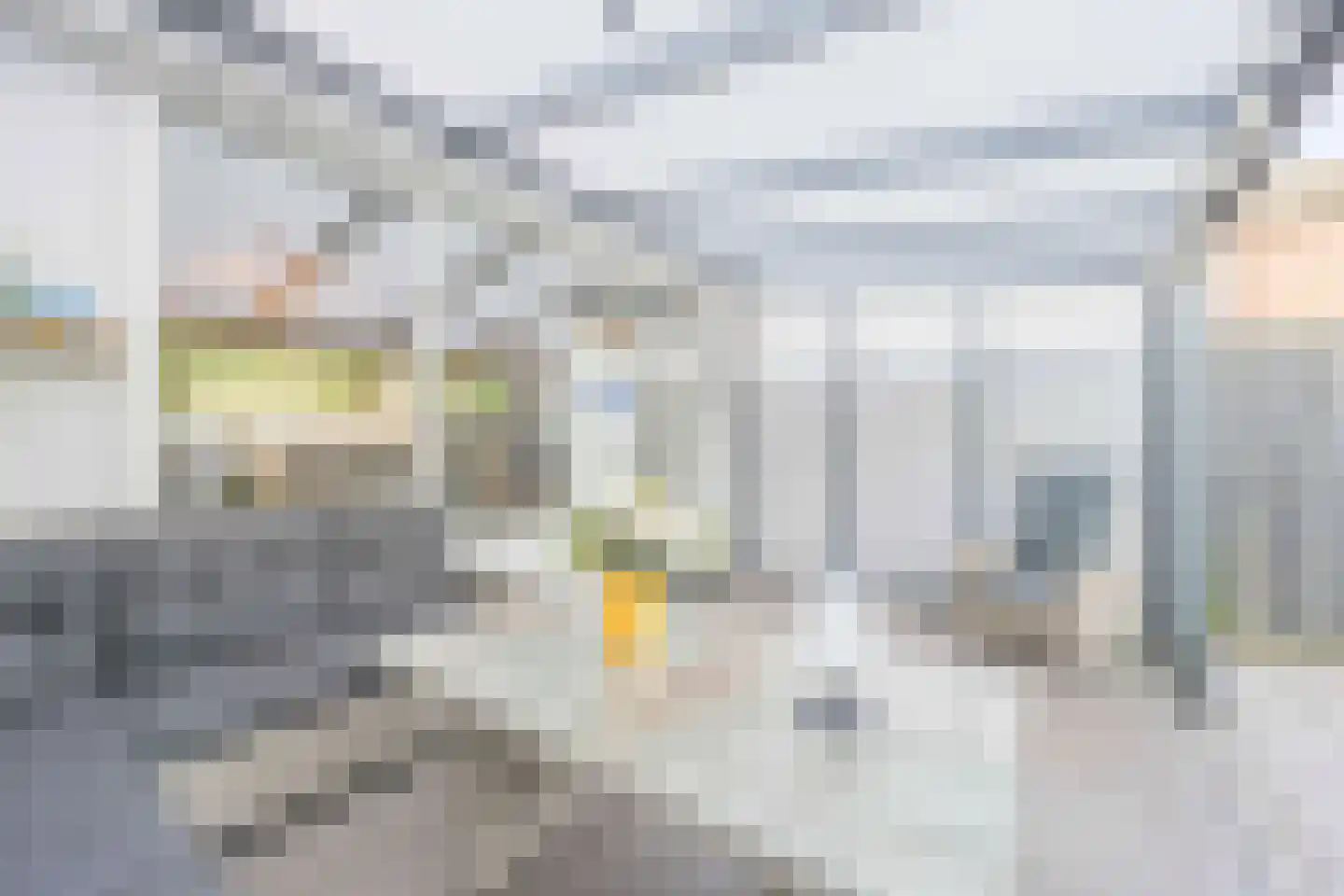 Schelp 14 Katwijk thumbnail 25