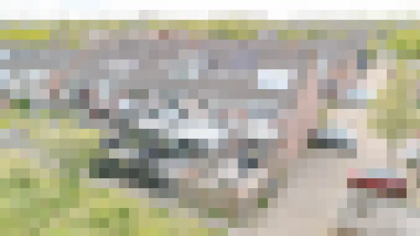 Schelp 14 Katwijk thumbnail 29