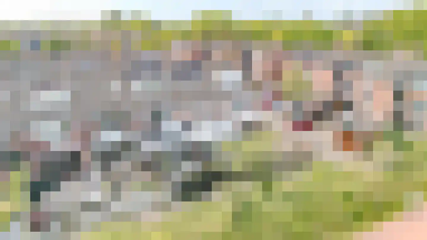 Schelp 14 Katwijk thumbnail 30