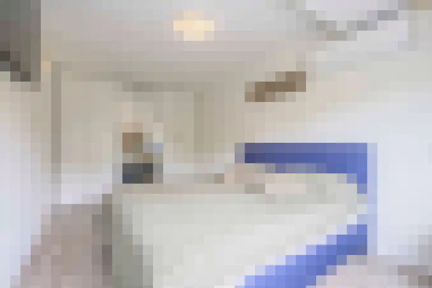 Schelp 14 Katwijk thumbnail 33
