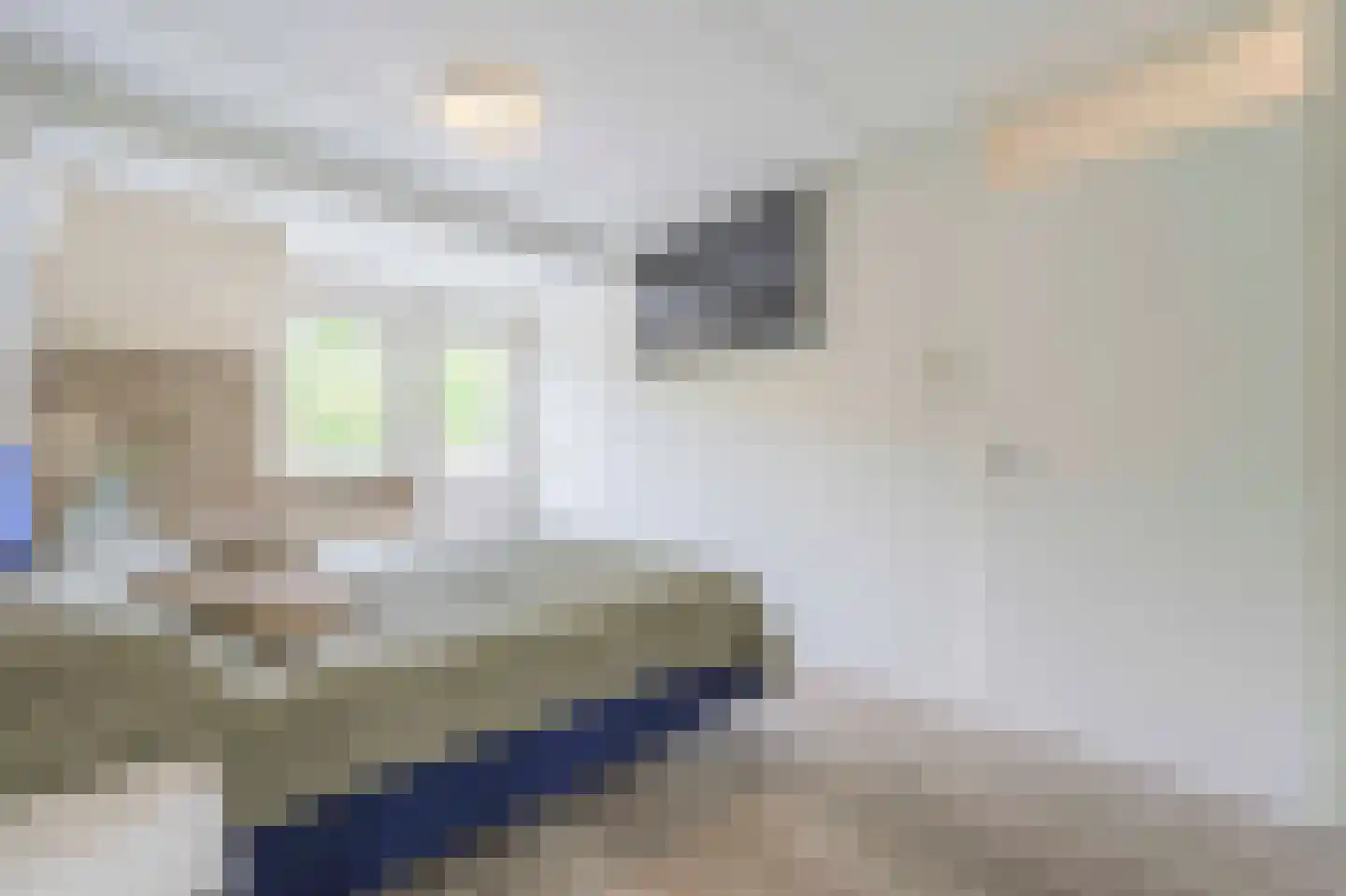 Schelp 14 Katwijk thumbnail 34