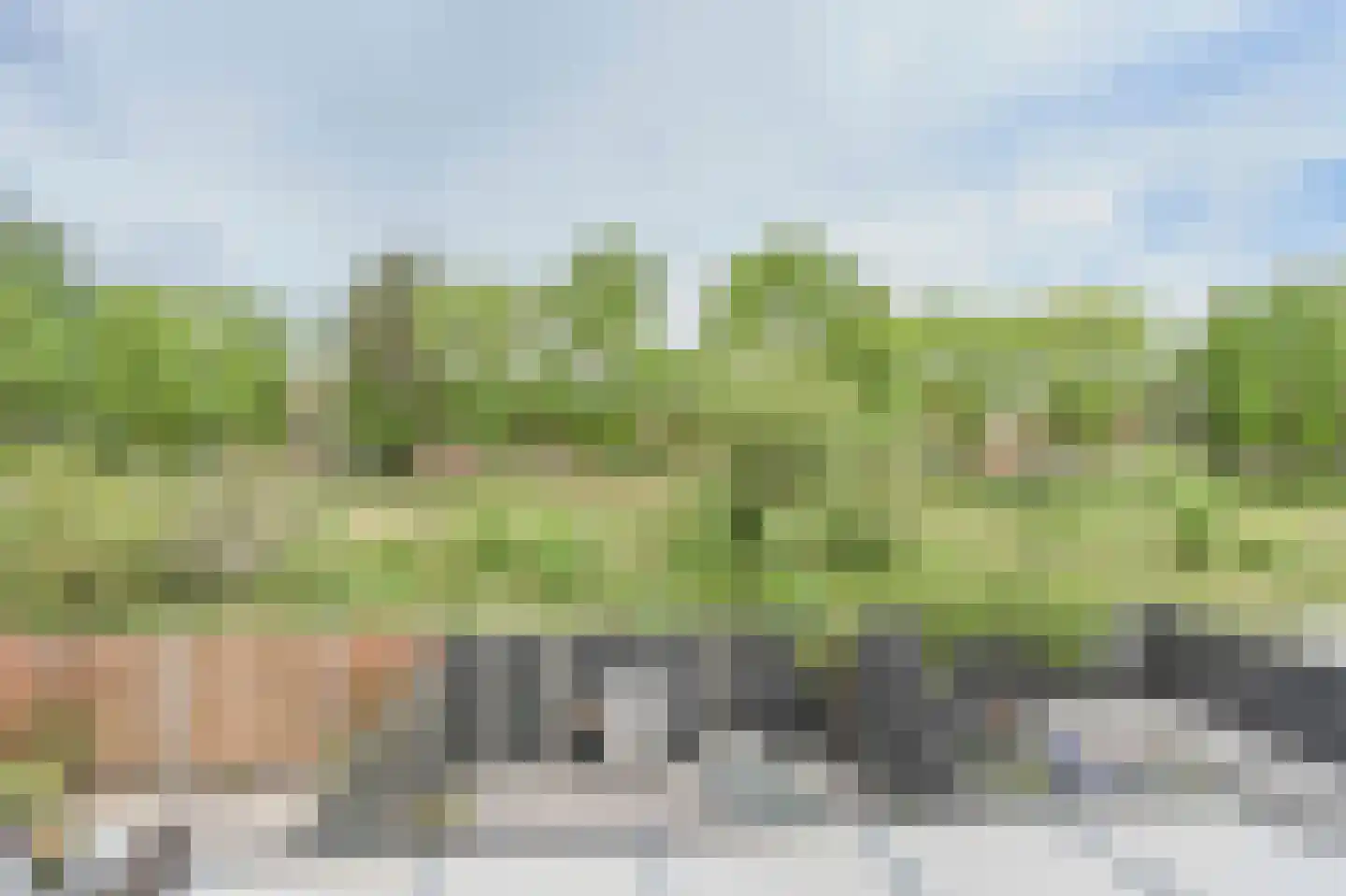 Schelp 14 Katwijk thumbnail 36