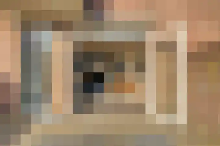 Schelp 45 Katwijk thumbnail 15