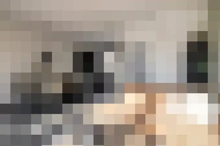 Schelp 45 Katwijk thumbnail 16