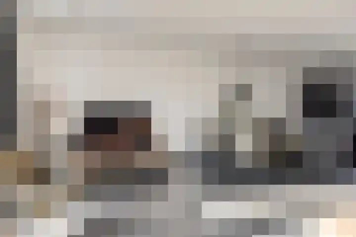 Schelp 45 Katwijk thumbnail 17