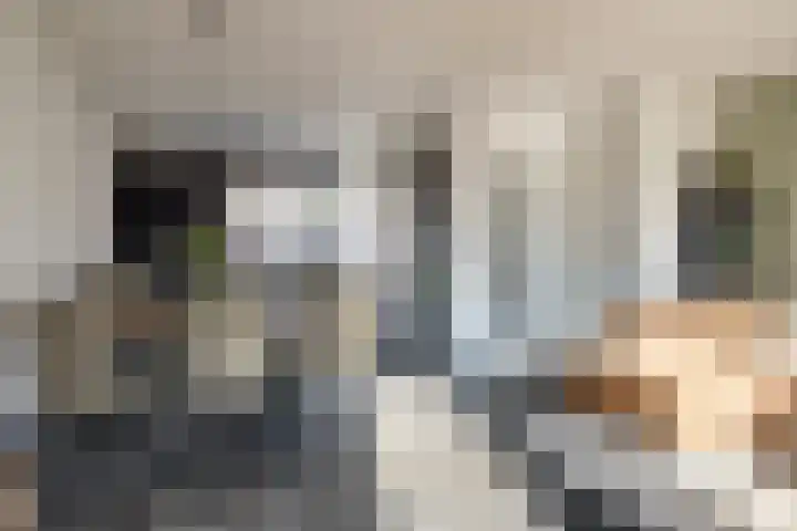 Schelp 45 Katwijk thumbnail 18