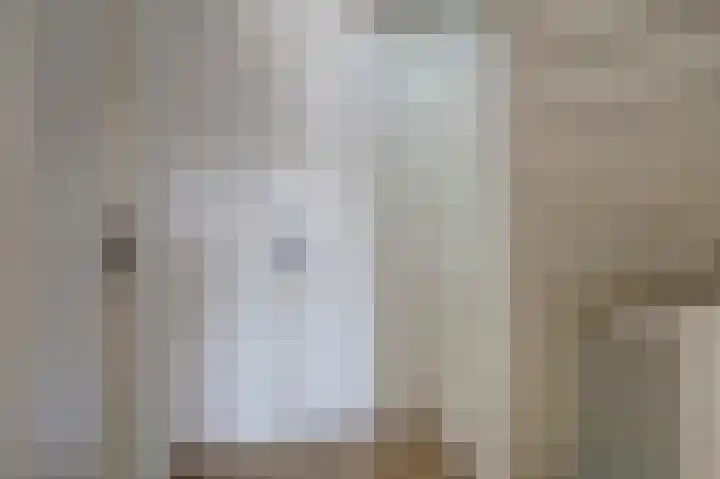 Schelp 45 Katwijk thumbnail 25