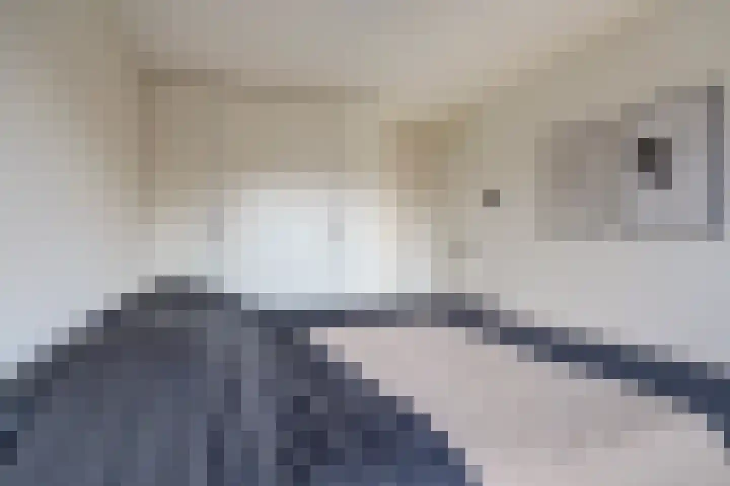 Schelp 45 Katwijk thumbnail 31