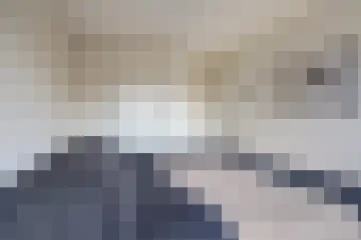 Schelp 45 Katwijk thumbnail 31