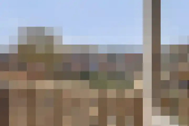 Schelp 45 Katwijk thumbnail 32