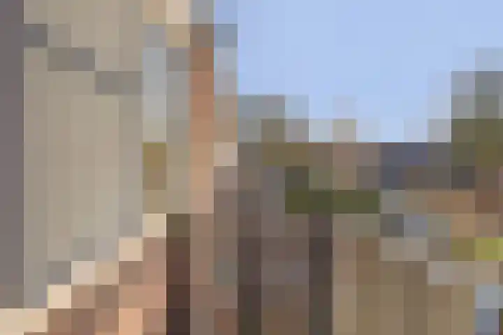 Schelp 45 Katwijk thumbnail 33