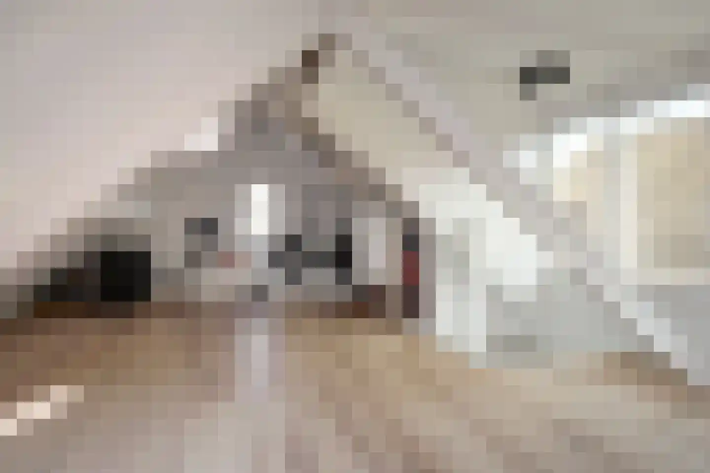 Schelp 45 Katwijk thumbnail 39