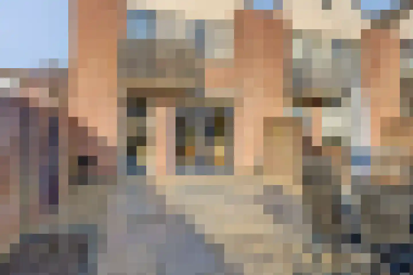 Schelp 45 Katwijk thumbnail 44