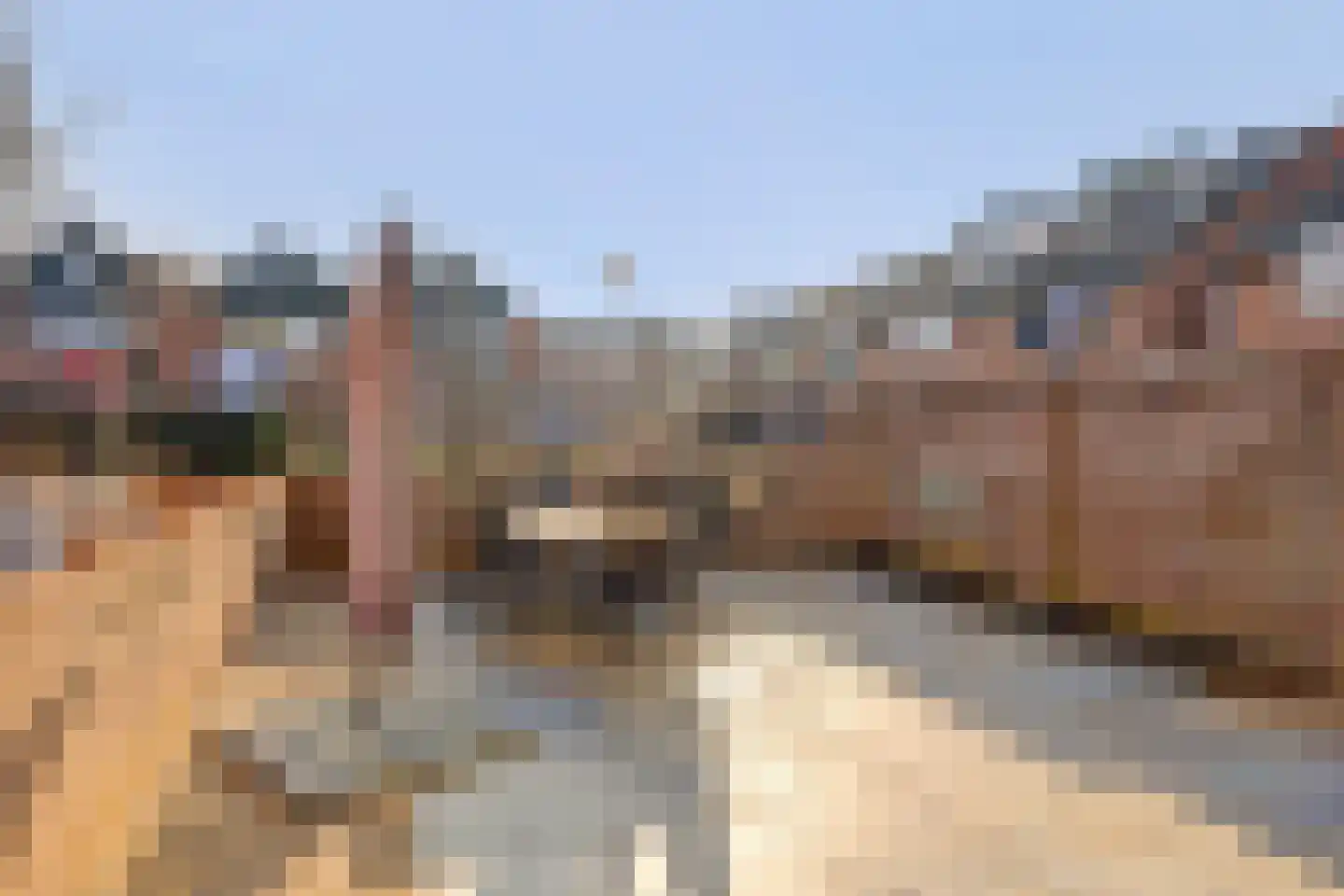 Schelp 45 Katwijk thumbnail 47