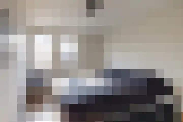 Schelp 45 Katwijk thumbnail 5