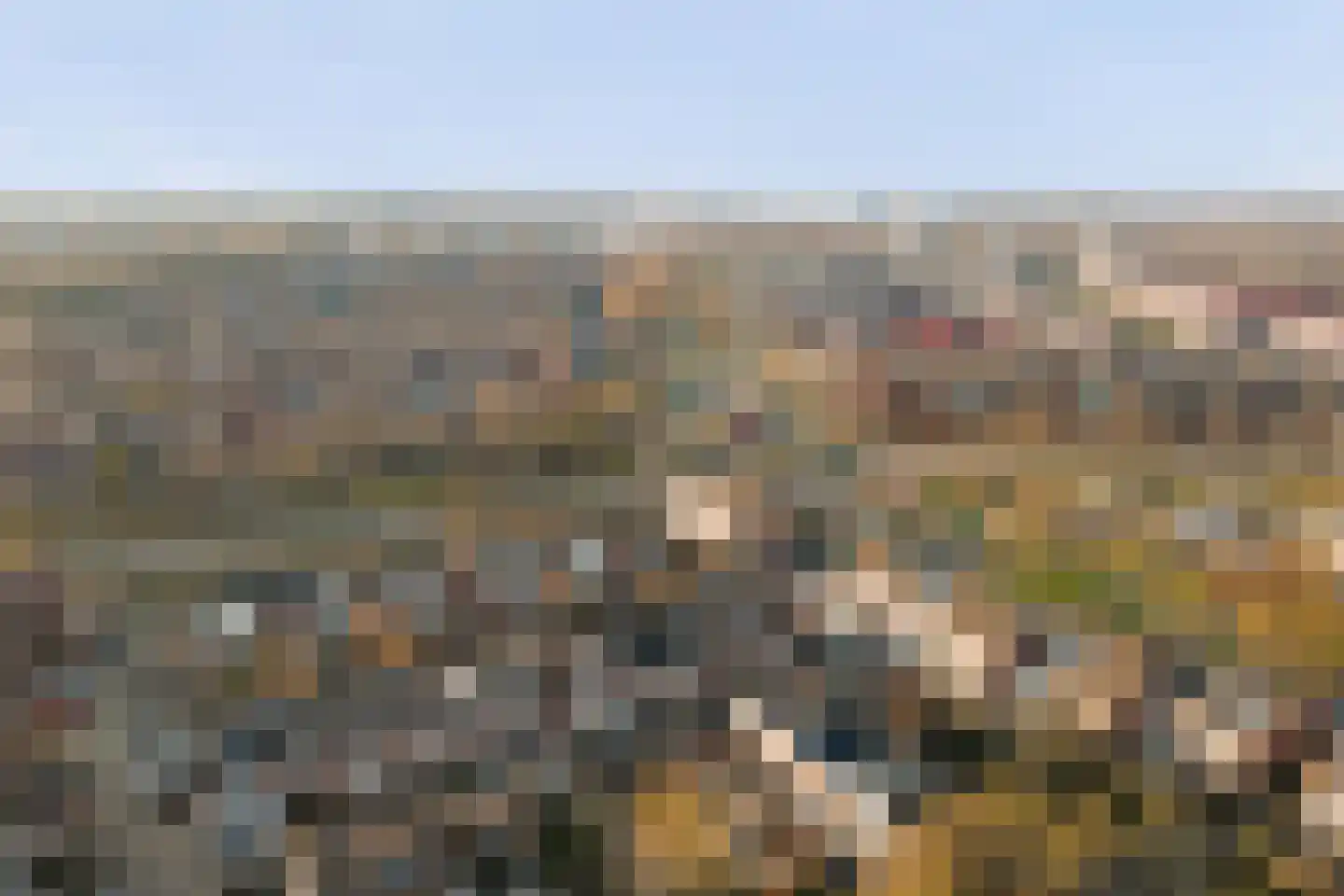 Schelp 45 Katwijk thumbnail 50