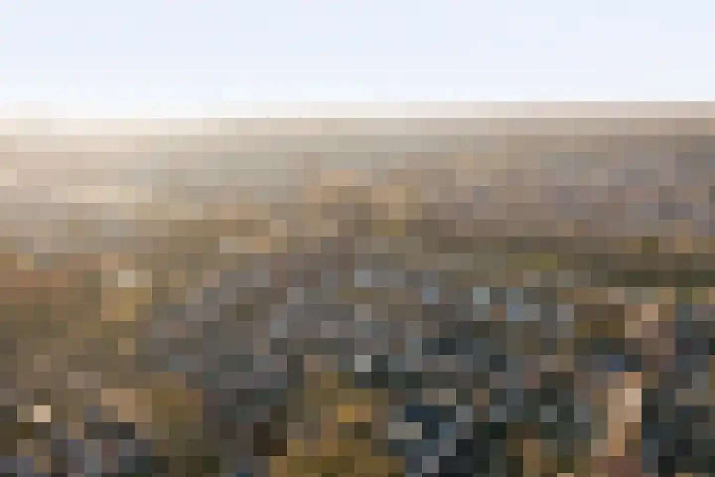 Schelp 45 Katwijk thumbnail 51