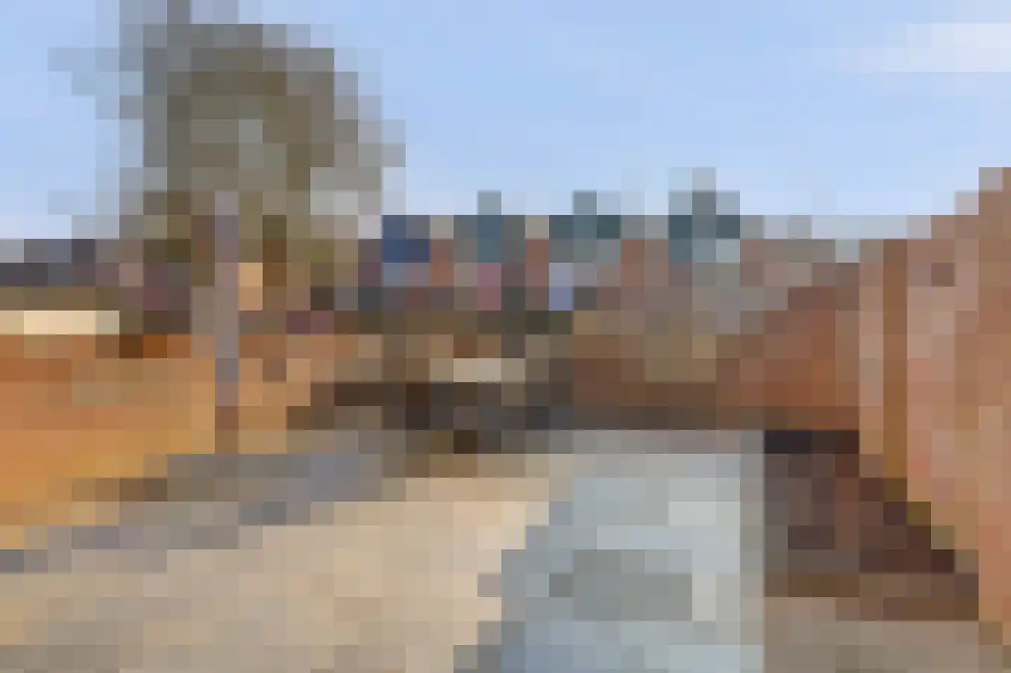 Schelp 45 Katwijk thumbnail 6