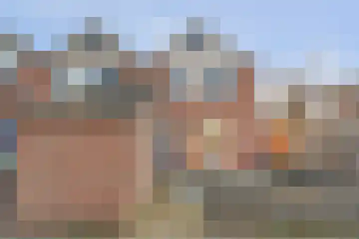 Schelp 45 Katwijk thumbnail 7