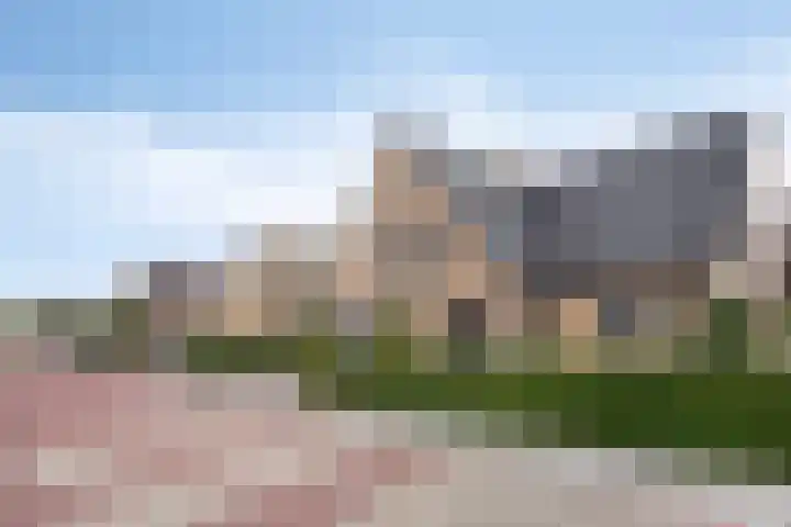 Schelp 6 IJsselmuiden thumbnail 11