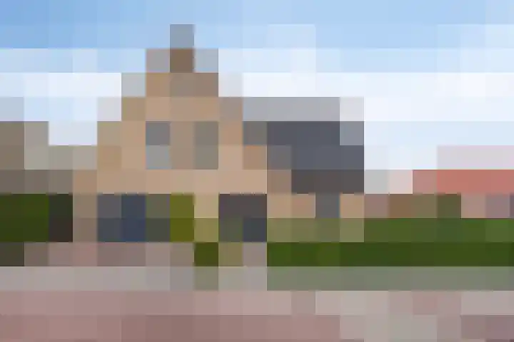 Schelp 6 IJsselmuiden thumbnail 13