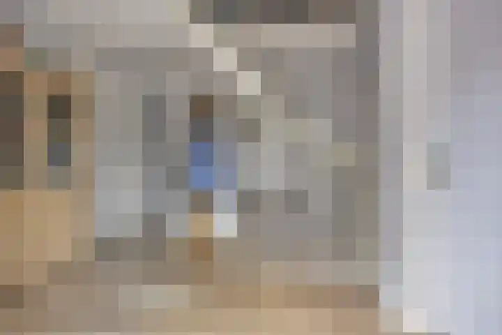 Schelp 6 IJsselmuiden thumbnail 15