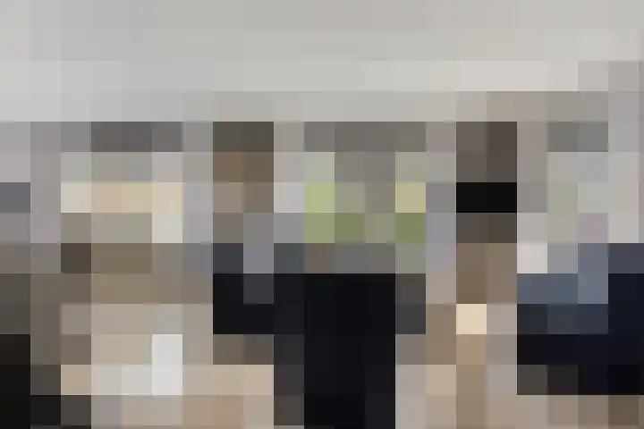 Schelp 6 IJsselmuiden thumbnail 17