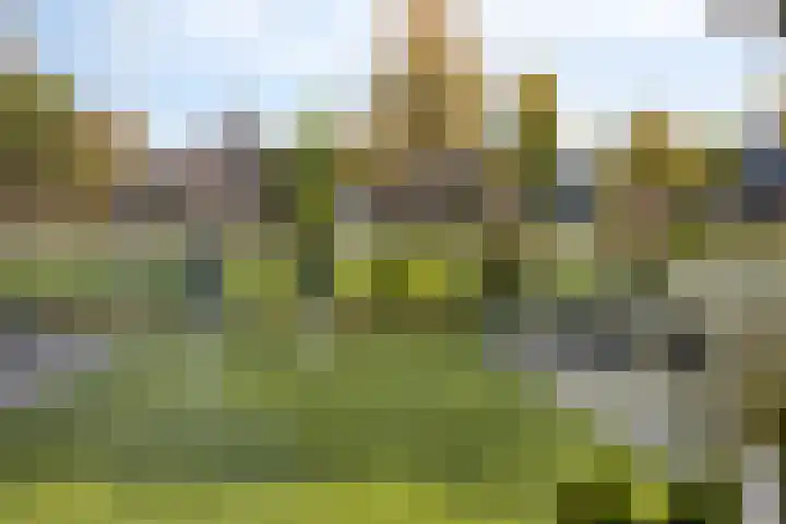 Schelp 6 IJsselmuiden thumbnail 19