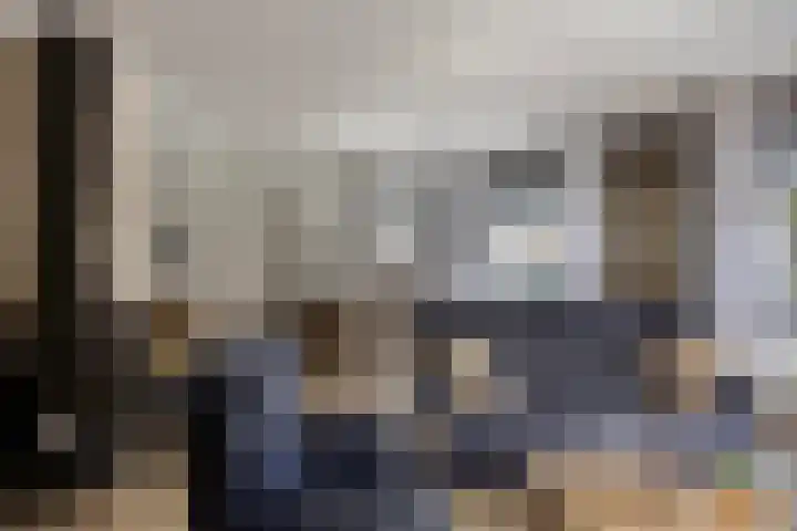 Schelp 6 IJsselmuiden thumbnail 20