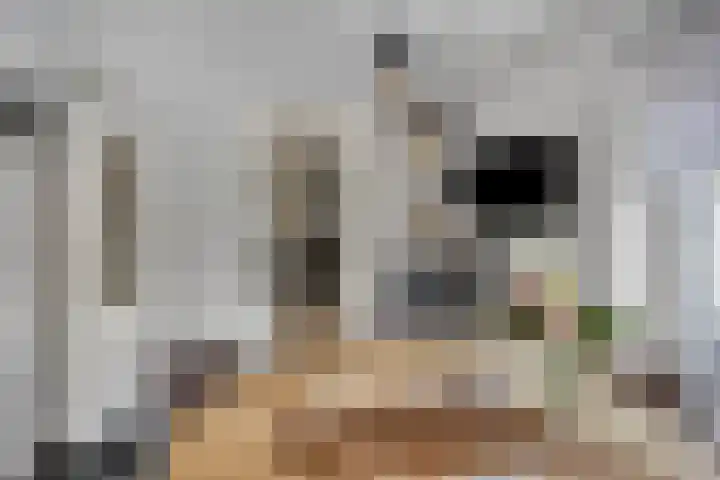Schelp 6 IJsselmuiden thumbnail 27