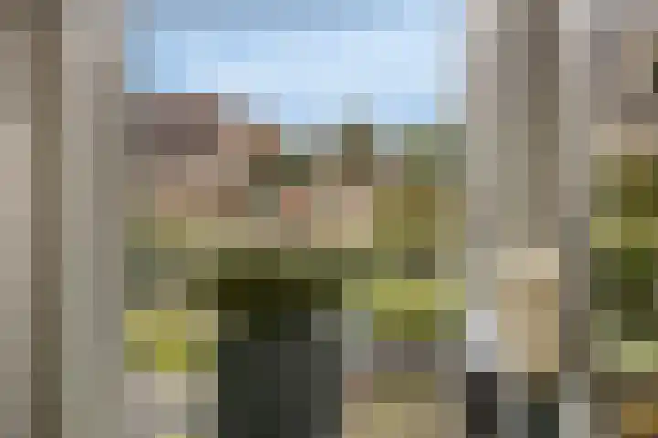 Schelp 6 IJsselmuiden thumbnail 30