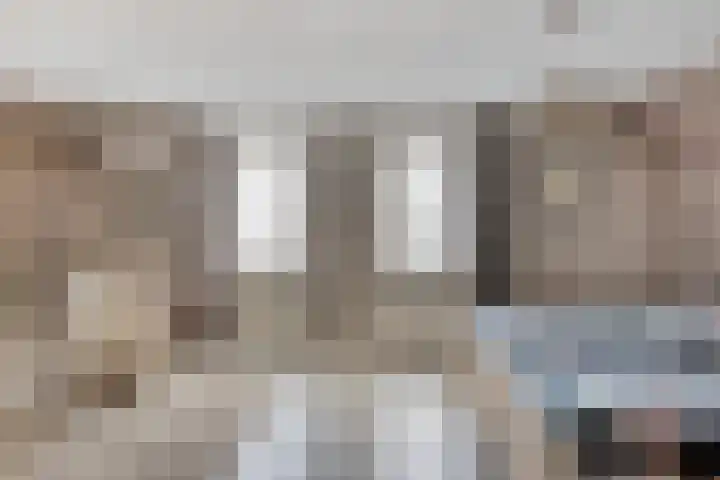 Schelp 6 IJsselmuiden thumbnail 37