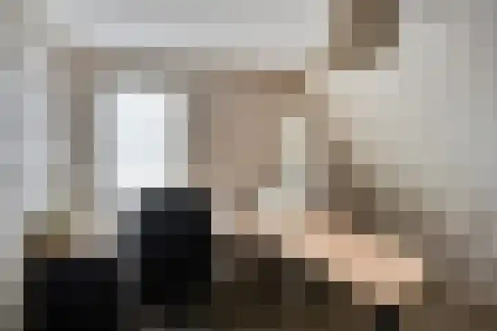 Schelp 6 IJsselmuiden thumbnail 45