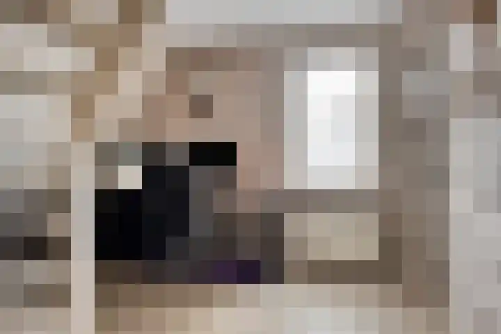 Schelp 6 IJsselmuiden thumbnail 47