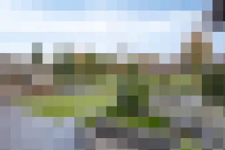 Schelp 6 IJsselmuiden thumbnail 5